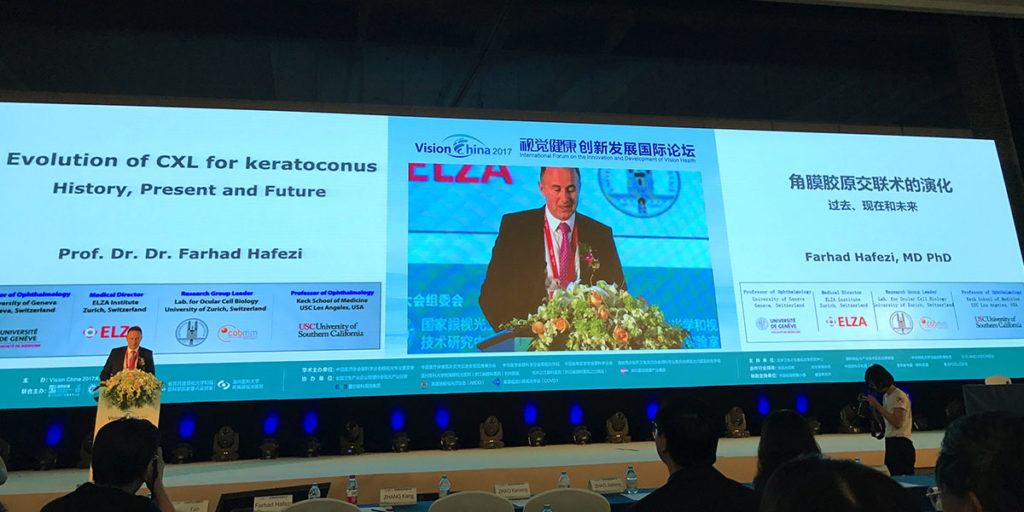 Professorship at Wenzhou University 2017