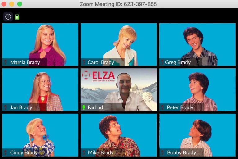 Bildung ohne Grenzen - Farhad Hafezi's COVID-19 Bildung - Zoom Brady Bunch Parodie