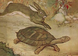 Cross-Linking: Off-label applications. A picture of the tortoise and the hare to illustrate that too high and too fast an illumination equals an overall worse performance. 
