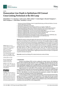 demarcation line depth paper