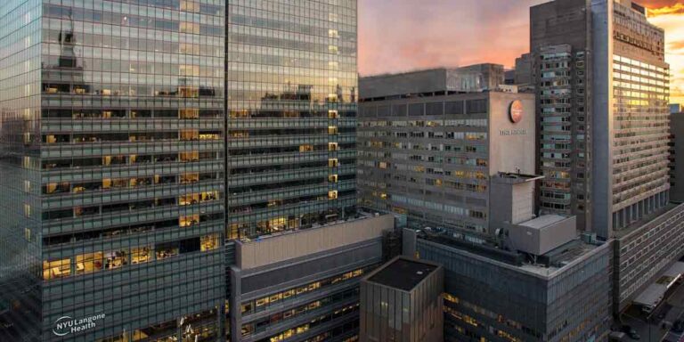 Prof. Farhad Hafezi NYU Grossman