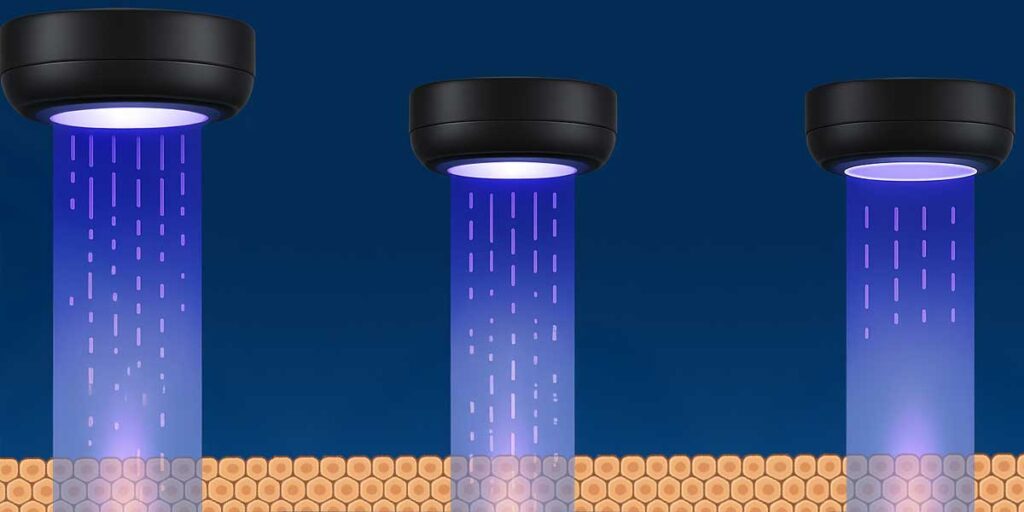 ELZA-sub400 endothelial cells study - featured image