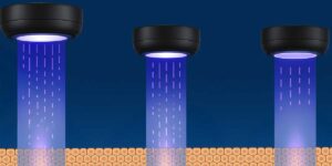 ELZA-sub400 endothelial cells study - featured image